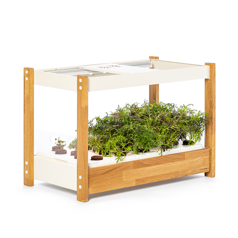 Click & grow 25 Indoor Kräutergarten seitlich
