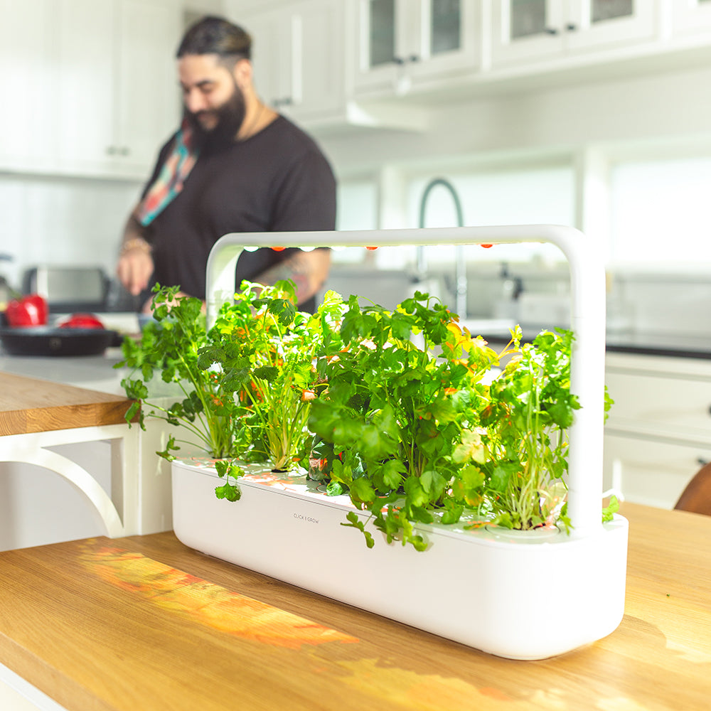 Click & Grow Smart Garden 9 Indoor Kräutergarten Szene Küche Mann kocht