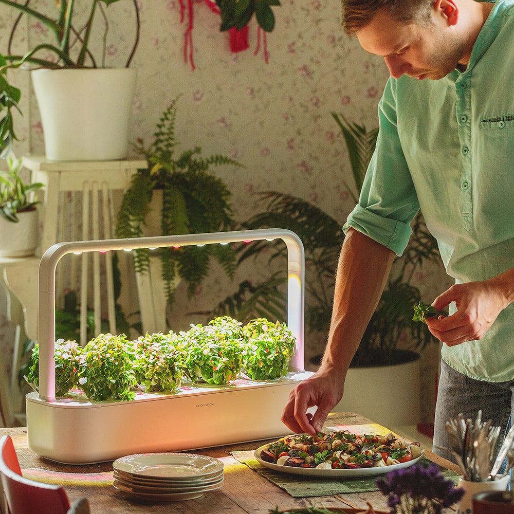 Click & Grow Smart Garden 9 Indoor Kräutergarten Szene Küchentisch Salat Mann kocht