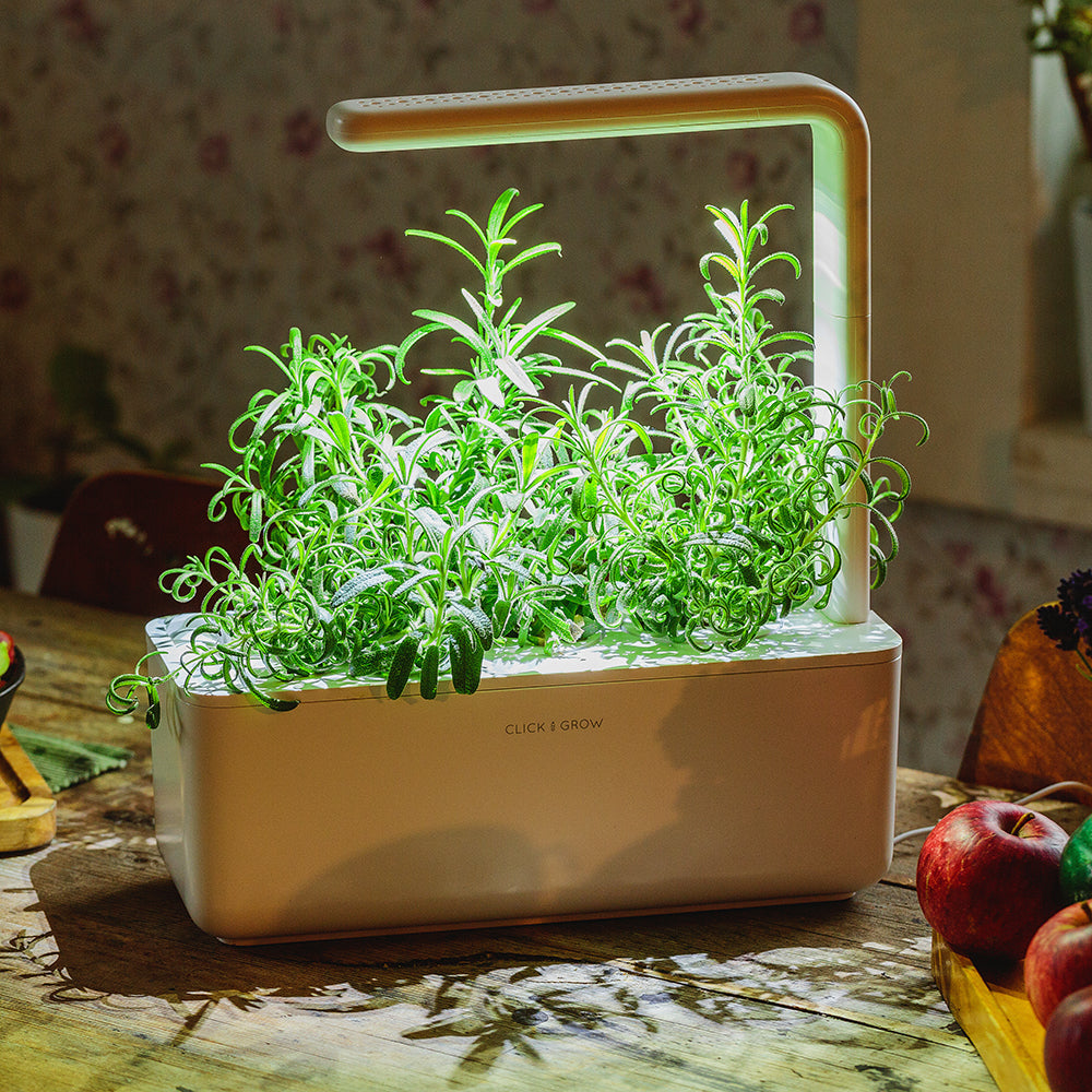 Click & grow Smart Garden 3 Indoor Kräutergarten Szene Küchentisch