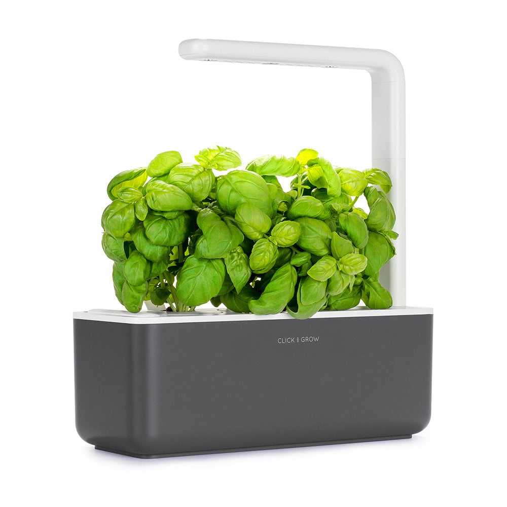 Click & grow Smart Garden 3 Indoor Kräutergarten grau