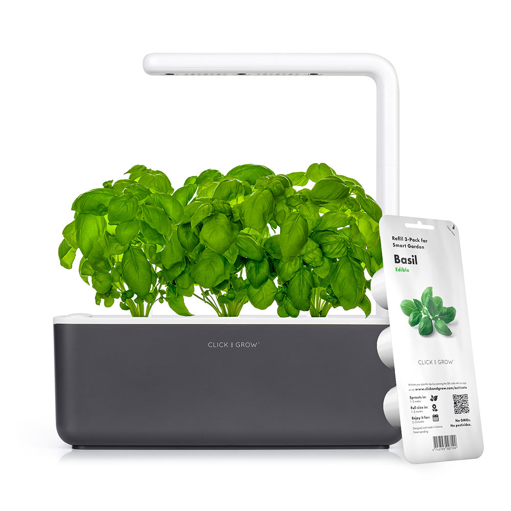 Click & grow Smart Garden 3 Indoor Kräutergarten grau mit Basilikum Refill