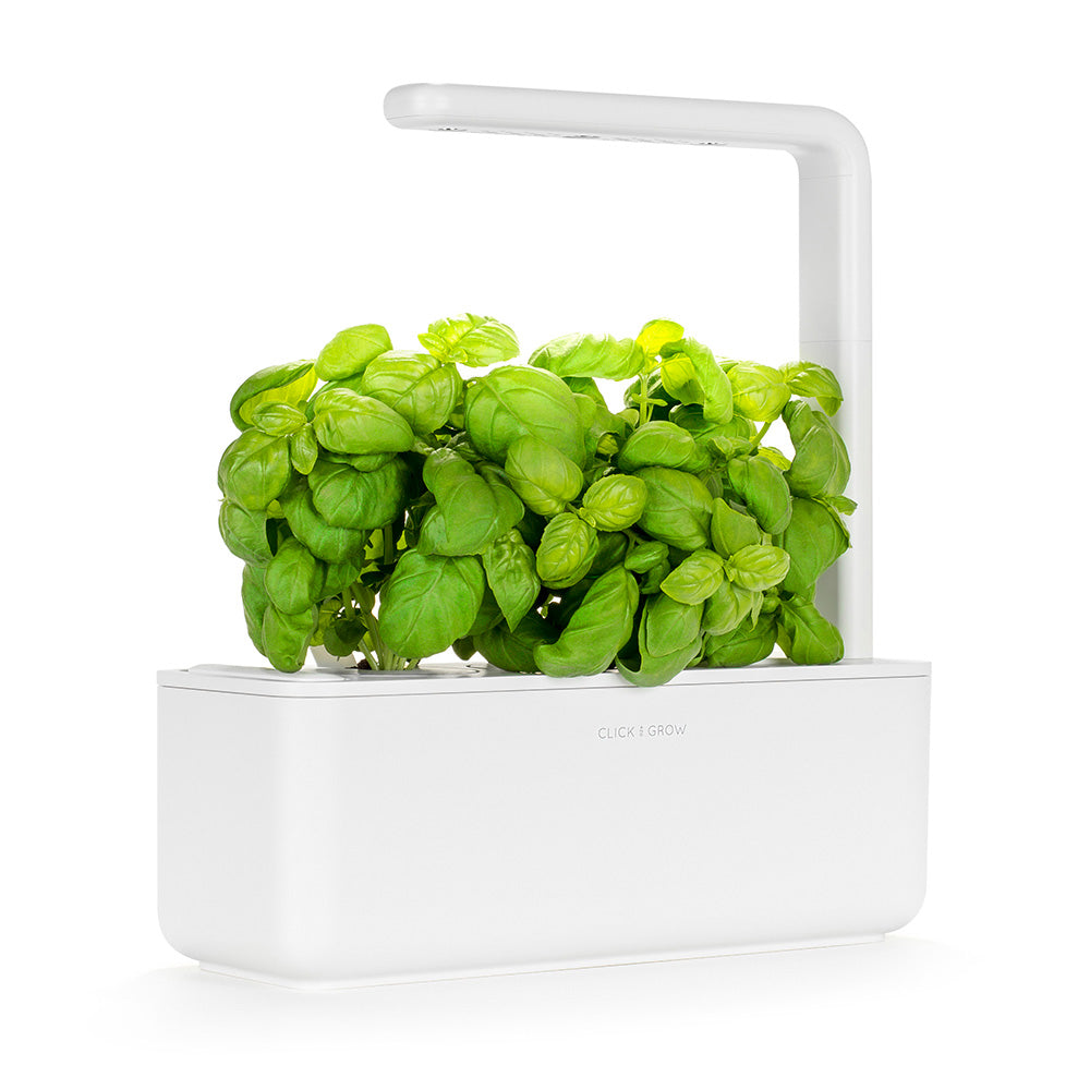 Click & grow Smart Garden 3 Indoor Kräutergarten weiß mit Basilikum