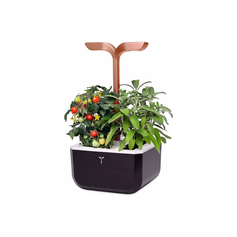 Véritable Exky Smart Cooper - Indoor Kräutergarten (Farbe: Soft Black)