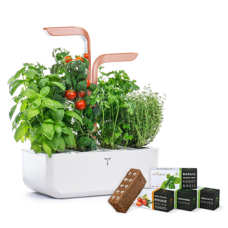 Véritable Smart Cooper - Indoor Kräutergarten (in Farbe White mit Lingots)